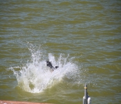 July4th2011 247